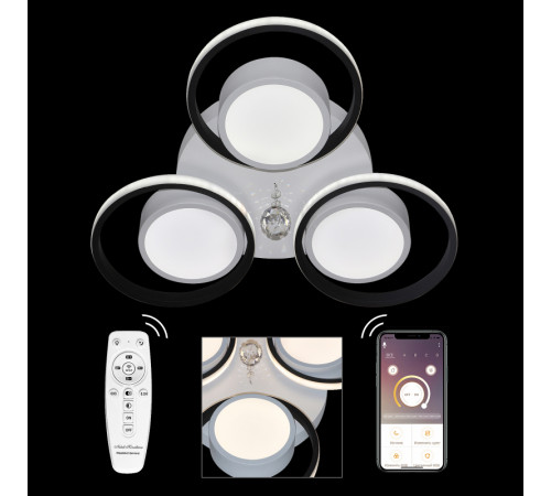 Потолочная люстра Natali Kovaltseva HIGH-TECH LED LAMPS 82046 Потолочная люстра Natali Kovaltseva HIGH-TECH LED LAMPS 82046