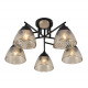 Потолочная люстра Seven Fires Aislin SF3375/5C-BK-WD-AM