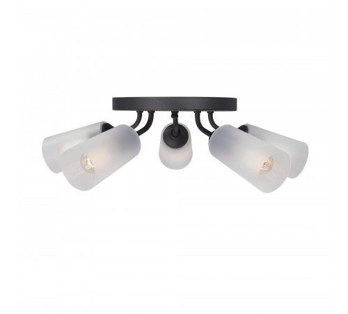 Потолочная люстра Vitaluce V3762-1/5PL Потолочная люстра Vitaluce V3762-1/5PL