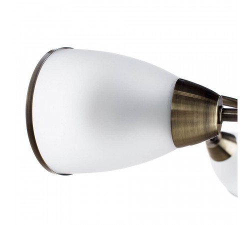 Потолочная люстра Arte Lamp 3 A6056PL-3AB Потолочная люстра Arte Lamp 3 A6056PL-3AB