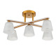 Потолочная люстра Escada Silva 1101/5PL