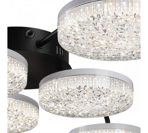 Потолочная люстра Lumion Didana 8236/6CL Потолочная люстра Lumion Didana 8236/6CL