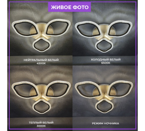 Потолочная люстра Seven Fires Lejv SF7068/4C-SGD-RGB Потолочная люстра Seven Fires Lejv SF7068/4C-SGD-RGB