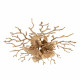 Потолочная люстра Arte Milano 23312.500.4.G9 IB