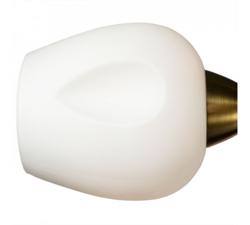 Потолочная люстра ARTE Lamp A2706PL-5CK Потолочная люстра ARTE Lamp A2706PL-5CK