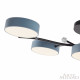Потолочная люстра Arte Milano Ferrara 256606/5 Bk/Gr