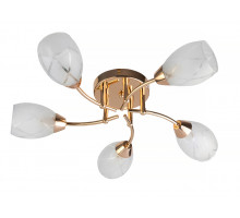 Потолочная люстра Toplight Lucy TL7120X-05FG