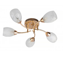 Потолочная люстра Toplight Lucy TL7120X-05FG