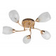Потолочная люстра Toplight Lucy TL7120X-05FG