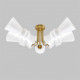 Потолочная люстра IMEX Bloom MD.9345-5-S-BR