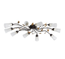 Потолочная люстра MW-Light Восторг 242015410