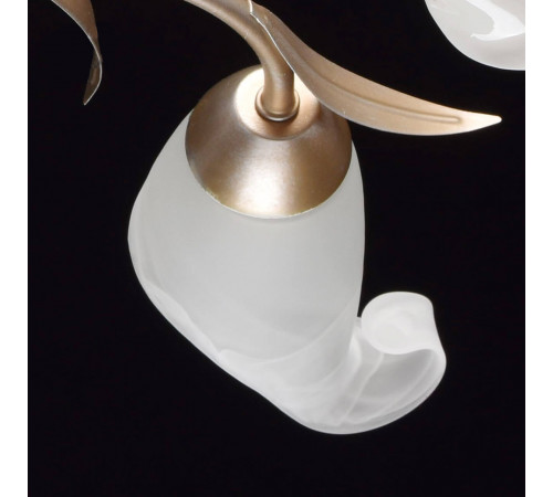 Потолочная люстра MW-Light Восторг 19 242016205