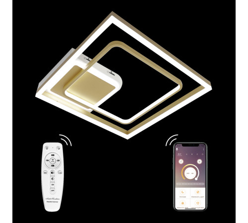 Потолочная люстра Natali Kovaltseva LED LAMPS 81309 Потолочная люстра Natali Kovaltseva LED LAMPS 81309