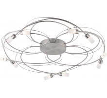 Потолочная люстра Toplight Viola TL1199X-10ST