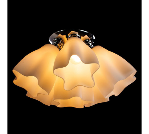 Потолочная люстра Arte Lamp 17 A3469PL-6CC