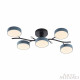 Потолочная люстра Arte Milano Ferrara 256606/5 Bk/Gr