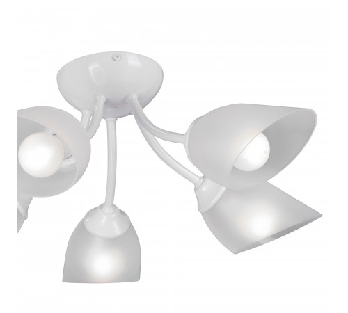 Потолочная люстра Vitaluce V3405-0/5PL Потолочная люстра Vitaluce V3405-0/5PL