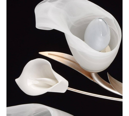 Потолочная люстра MW-Light Восторг 19 242016205