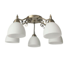 Потолочная люстра Toplight Lora TL7371X-05AB