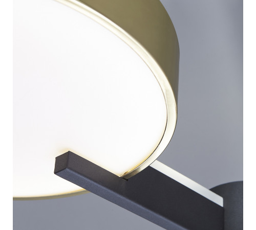 Потолочная светодиодная люстра Escada Expert 10209/3LED