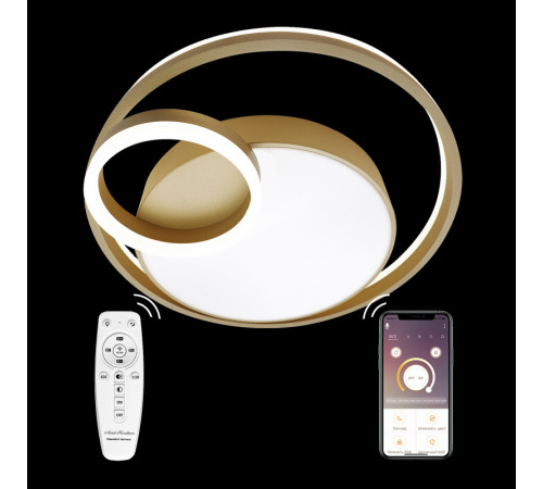 Потолочная люстра Natali Kovaltseva LED LAMPS 81305 Потолочная люстра Natali Kovaltseva LED LAMPS 81305