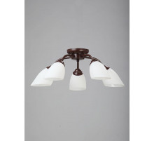 Потолочная люстра Vitaluce V3252/5PL