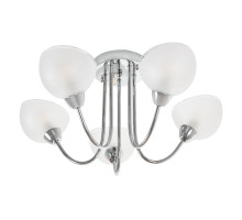 Потолочная люстра MyFar Ekaterina MR1291-5C