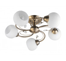 Потолочная люстра Toplight Beryl TL3540X-05AB