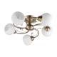 Потолочная люстра Toplight Beryl TL3540X-05AB