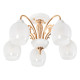 Потолочная люстра MyFar Nika MR1671-5C