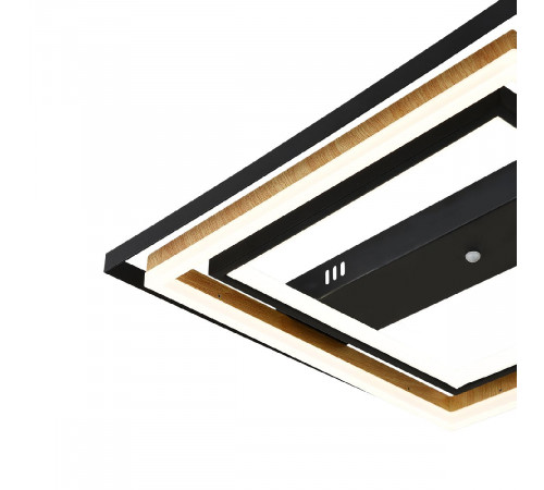 Потолочная люстра Escada Lagom 10249/2LED Потолочная люстра Escada Lagom 10249/2LED