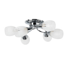 Потолочная люстра ARTE Lamp A2701PL-6CC