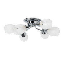 Потолочная люстра ARTE Lamp A2701PL-6CC