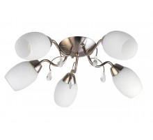 Потолочная люстра Toplight Paula TL3550X-05SN