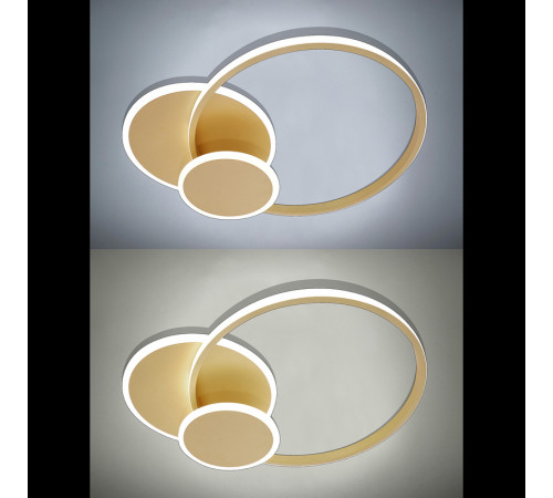 Потолочная люстра Natali Kovaltseva LED LAMPS 81306 Потолочная люстра Natali Kovaltseva LED LAMPS 81306