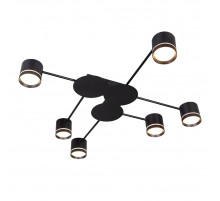 Потолочная люстра Arte Lamp Legacy A8024PL-6BK