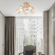 Потолочная люстра Arte Milano Amalfi 326419/5 FG+WH