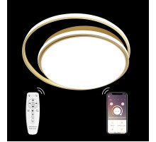 Потолочная люстра Natali Kovaltseva LED LAMPS 81315