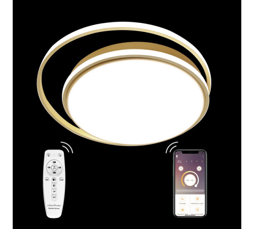 Потолочная люстра Natali Kovaltseva LED LAMPS 81315 Потолочная люстра Natali Kovaltseva LED LAMPS 81315
