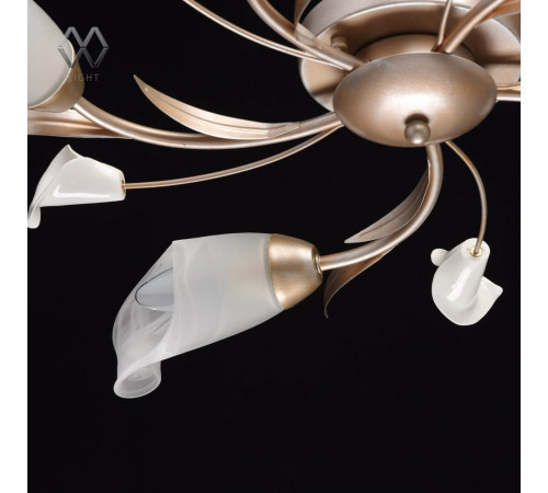 Потолочная люстра MW-Light Восторг 19 242016205