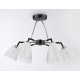Потолочная люстра Ambrella Light Modern TR303294