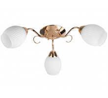 Потолочная люстра Toplight Kristin TL3520X-03FG