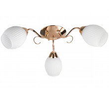 Потолочная люстра Toplight Kristin TL3520X-03FG