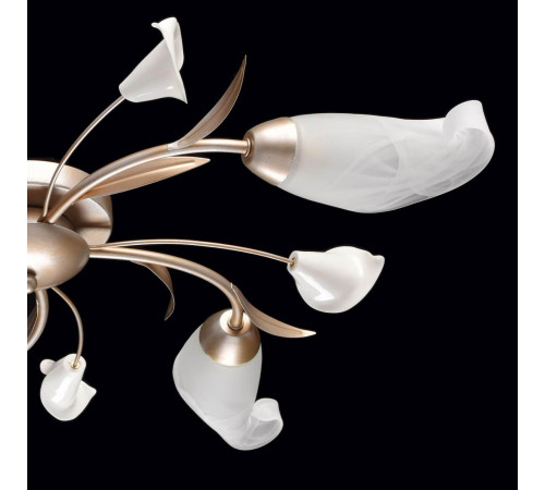 Потолочная люстра MW-Light Восторг 19 242016205