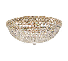 Накладная люстра Arti Lampadari Asti E 1.2.50.100 G