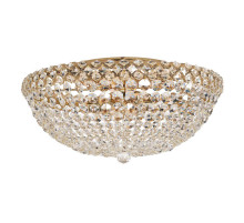 Накладная люстра Arti Lampadari Asti E 1.2.50.100 G