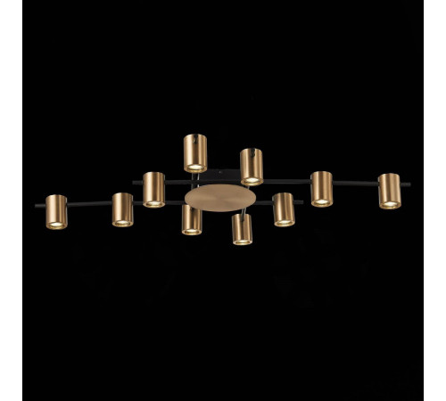 Потолочная люстра ST Luce Veroli SL1207.402.10 Потолочная люстра ST Luce Veroli SL1207.402.10