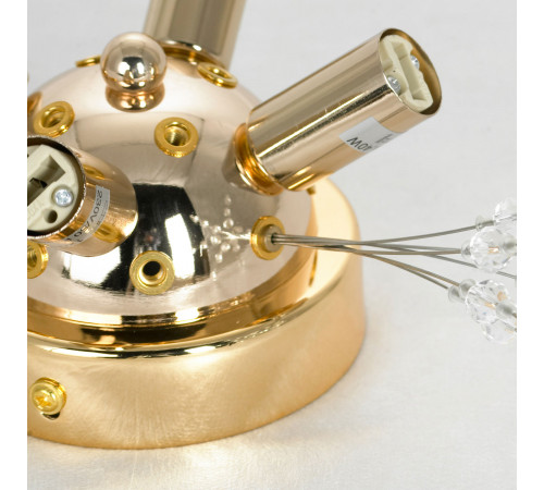Потолочная люстра Lussole Davie LSP-8781 Потолочная люстра Lussole Davie LSP-8781