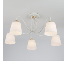 Потолочная люстра Eurosvet Betty 70062/5 белый