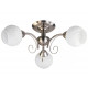 Потолочная люстра Toplight Dana TL3560X-03SN